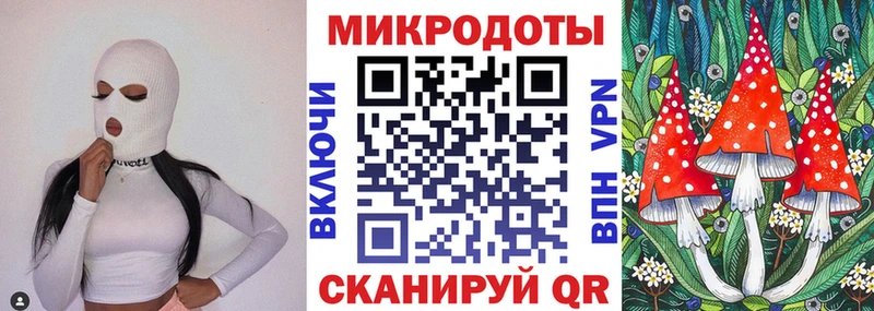 blacksprut онион  Стерлитамак  Псилоцибиновые грибы мухоморы 